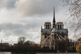 Fototapeta Panele - Notre Dame de Paris in Paris France