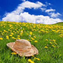Straw Hat Sitting On The Grass In A Rolling, Dandelion Filled Meadow