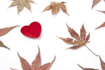 two red heart and autumn leaves