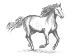 Fototapeta Konie - Horse racing sport equine symbol