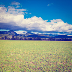 Canvas Print -  Fields