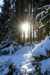 Sonnenschein bricht durch verschneiten Wald, Hochformat
