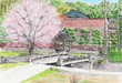 桜と地蔵堂