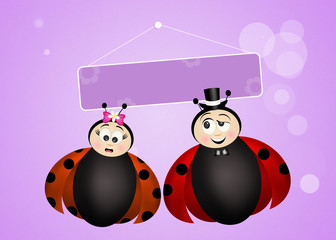 Wall Mural - Wedding of ladybugs