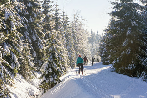 Obrazy biegi narciarskie  narciarze-biegowi-biegajacy-po-przygotowanych-trasach-narciarskich-droga-w-gorach-zima-w-sloneczny-dzien