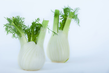 Two Fresh fennel bulbs on white background 