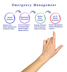 Wall Mural - Market Entry Management.