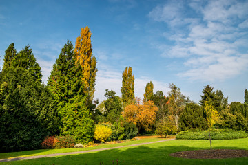 Late October in Bratislava botanical garden, park meadow
