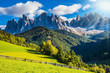 The green alpine valley