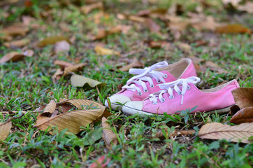  pink sneaker on an autumn leaf background.
