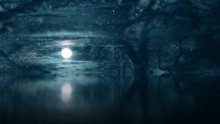 Fantasy Spooky Moonlight Magical Woodland Scene - Composite Effects