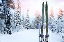 Snowy Cross Country Ski Trail With Retro Wood Skis And Ski Poles