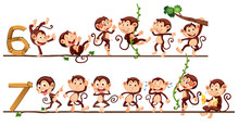 Monkeys And Number Six And Seven