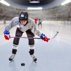 Wall Mural - Junior Ice Hockey Player in Crowded Arena. Focus on player and shallow depth of field on background.