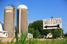 Sweet Corn For Sale Sign