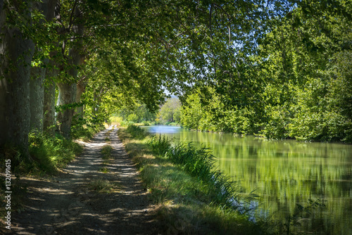 Fotografie, Obraz Vue du Chemin de hallage sur le bord du Canal du Midi