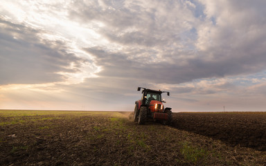 Wall Mural - tractor plowing a field