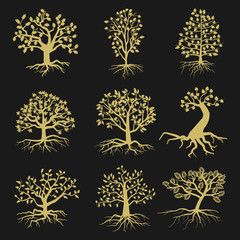 Wall Mural - Black vector tree silhouettes with leaves and roots