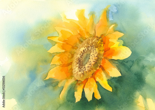 sunflower-on-green-background