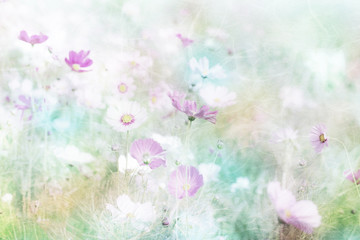 Wall Mural - cosmos flower on mulberry paper background,vintage-retro styl