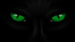 green eyes black Panther on dark