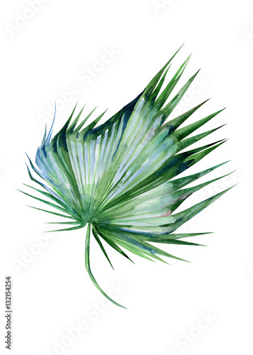 Watercolor illustration of tropical leaves, dense jungle. Hand painted. Banne...