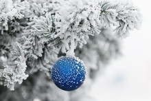 Blue Ball On Branch Of A Christmas Tree In Frost And Snow