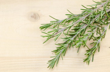 Wall Mural - green rosemary branches and needles on wooden a table