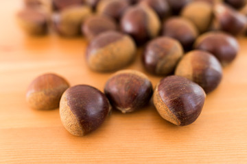 Poster - Chestnut