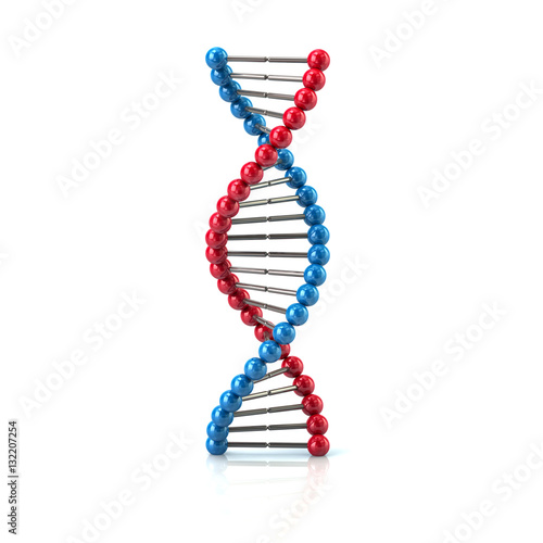 https stock adobe com images blue and red dna icon 3d illustration 132207254 start checkout 1 content id 132207254