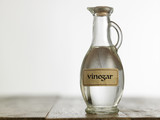 Fototapeta Konie - white vinegar