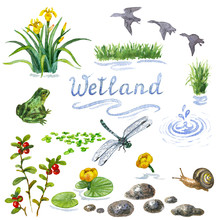 Wetland Set3