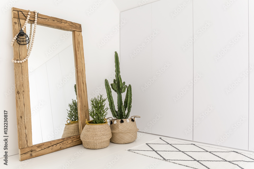 Room with mirror and cactus - obrazy, fototapety, plakaty 