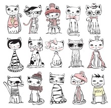 Vector Illustration Of Cat Set For Greeting Card Design, T-shirt Print, Inspiration Poster. 