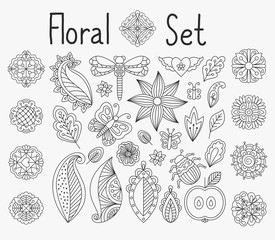 Wall Mural - Vector floral set with leaves and herbs, bugs and butterflies hand drawn mandala elements
