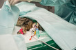 Le vétérinaire chirurgien opère une chatte, anesthésie générale.
