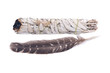 © bjphotographs - Sage smudge stick with grade A barred turkey smudging feather isolated on white background