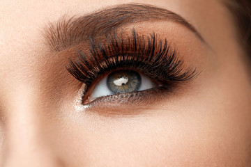 Wall Mural - long black eyelashes. closeup beautiful female eye with makeup