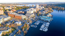 Aerial View Of University Of Washington Neighborhood School Campus - Bellevue Skyline In Background