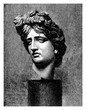 Apollo Belvedere, ancient Roman marble head of 120-140 AD, now in British Museum