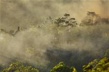 Smoke From A Fire Drifts Across Rainforest, Near San Juan, Siquijor, Philippines