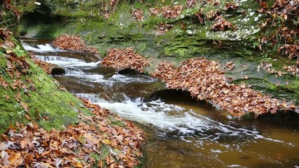 Wall Mural - Whitewater flows down The Potholes at Fall Creek Gorge Nature Preserve in Warren County, Indiana.