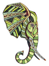 Elephant Head, Illustration 