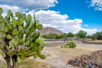 Poster - View of the Pyramid of the Sun at Teotihuacan in Mexico