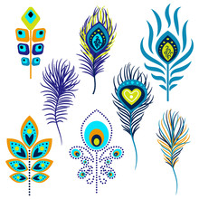 Peacock Feathers Vector Illustration Clipart. Blue And Green Peafowl Bird Hackles.