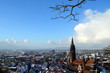 Blick auf das Freiburger Münster im Winter