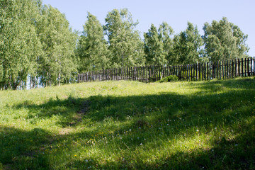  Wooden fence in the forest