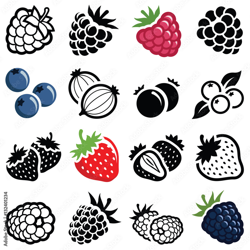 Berry fruit icon collection - vector illustration Stock Vector | Adobe ...