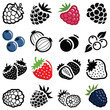 Berry fruit icon collection - vector illustration