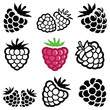 Raspberry icon collection - vector illustration